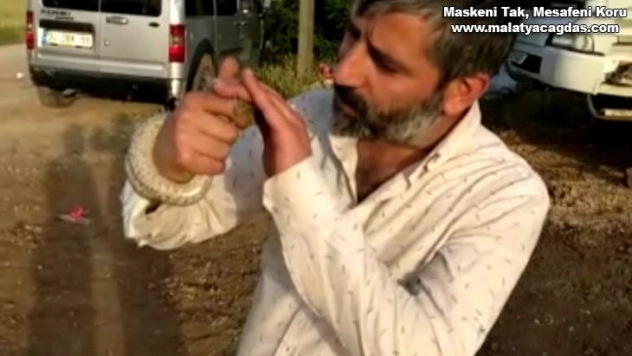 Yakaladığı yılanı böyle sevip öptü, o anlar kameraya yansıdı