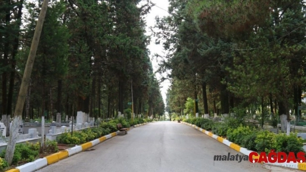 Yalova'da 2019 yılında bin 79 kişi hayatını kaybetti, 933 çift dünya evine girdi