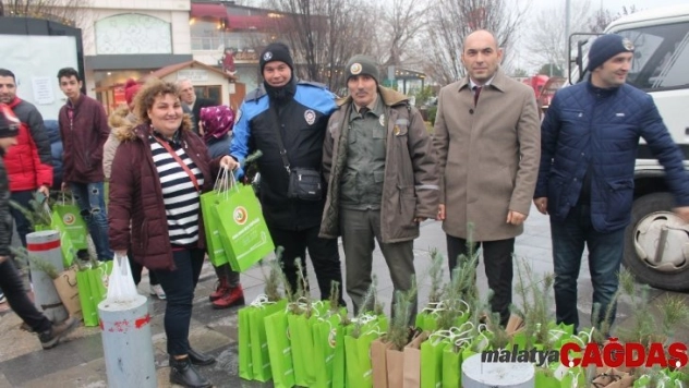 Yalova'da vatandaşlara 2 bin 200 çam fidanı dağıtıldı