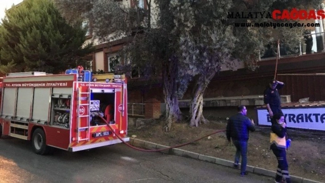 Yangında kediler telef olmadan kurtuldu