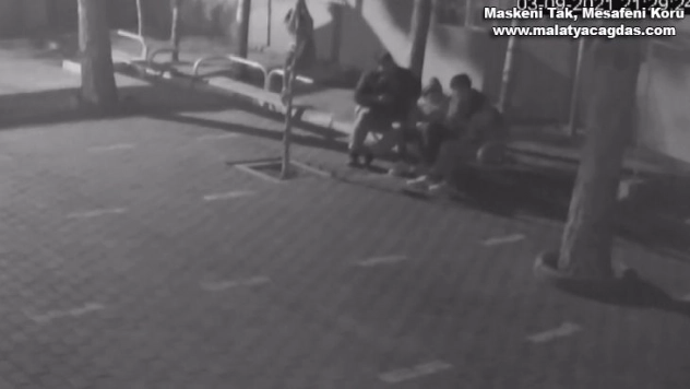 Yaptığıyla hayrete düşüren kadının kırdığı ağacın yerine ıhlamur ağacı dikildi