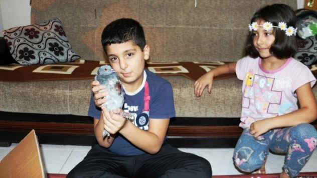 Yaralı kumruya miniklerden şefkat eli