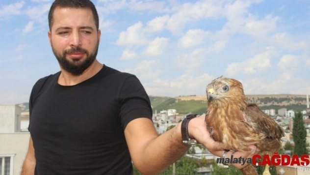 Yaralı Şahin'i tedavisi için yetkililere teslim etti