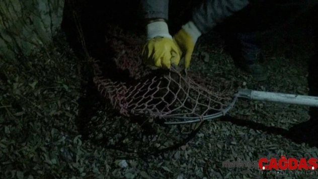 Yaralı sansara polisler sahip çıktı