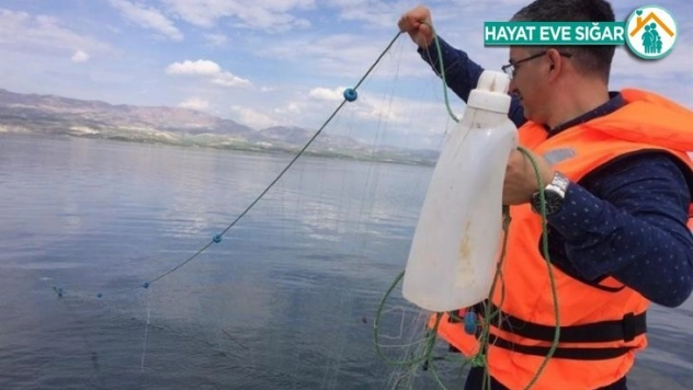 Yasağa rağmen 2 bin 500 metre balık ağı ele geçirildi