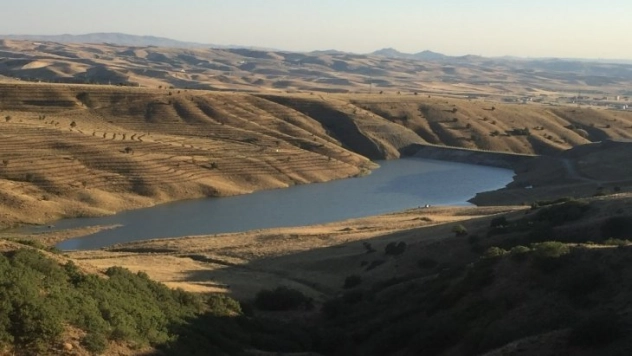 Yaşlı Ardıç Göleti ormanla çevrilecek