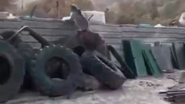 Yavru ayılar sanayi sitesine indi