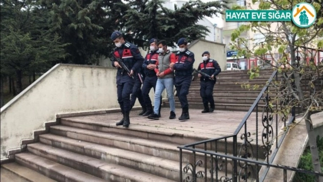 Yavru eşeği kangal köpeklerine parçalatan şahıs yakalandı