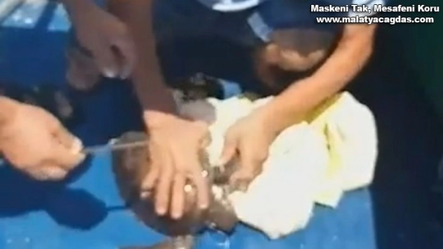 Yavru kaplumbağayı deniz temizlik ekipleri kurtardı