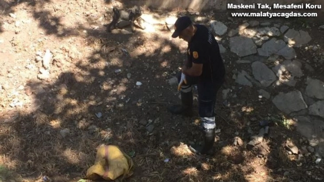 Yavru köpekleri torbaya koyup dereye attı