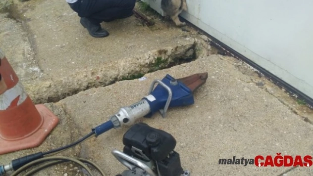 Yayladağı'nda otomatik kapıya sıkışan yavru köpek kurtarıldı