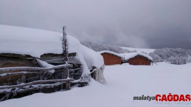 Yaylalar beyaza büründü, kartpostallık görüntüler ortaya çıktı