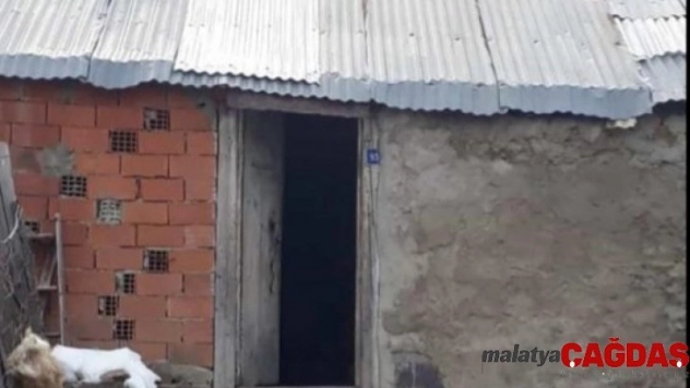 Yaylaya giden vatandaşlar şok yaşadı