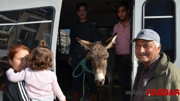 Yaylaya terk edilen eşek için seferber oldular