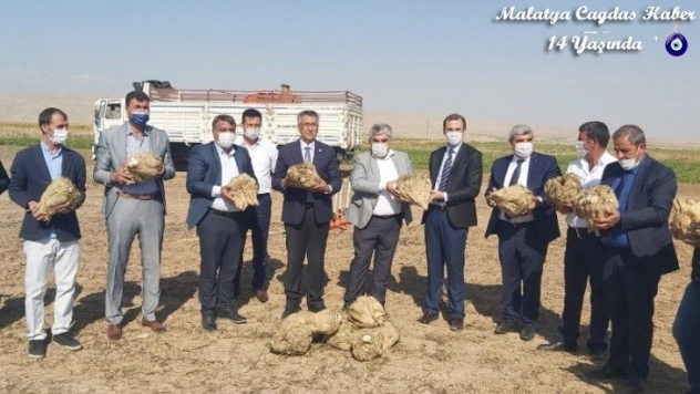 Yazıhan pancarının kalitesine tam not