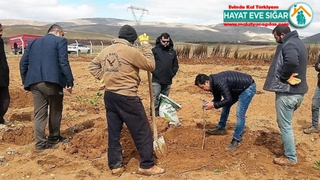 Yazıhan'da Trabzon Hurması Bahçesi kuruluyor