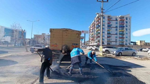 Yedi mahallede eş zamanlı çalışma