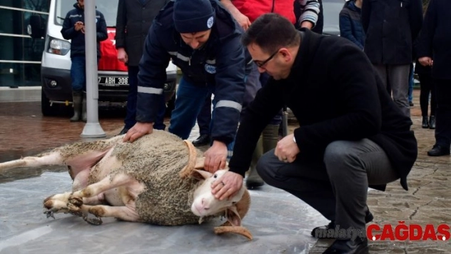 Yeni hizmet araçları için kurban kesildi