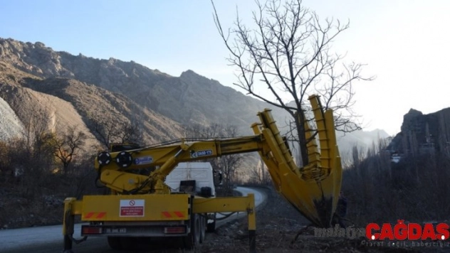 Yeni Yusufeli'ne ilk meyve ağaçları taşındı
