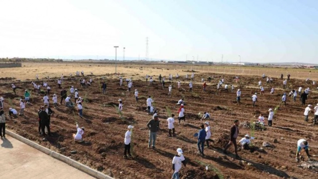 Yenişehir'de 500 fidan toprakla buluştu