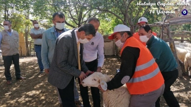 Hayvancılığın gelişmesi için bilgilendirme