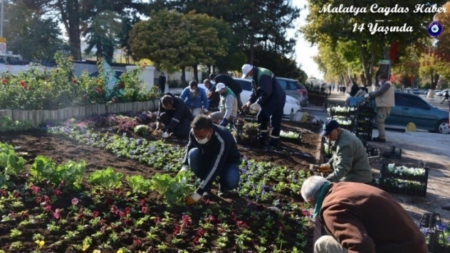 Yeşil alanlara çiçek ekimi