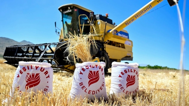 Yeşilyurt Belediyesi'nden Çiftçilere Ücretsiz Arpa Desteği!