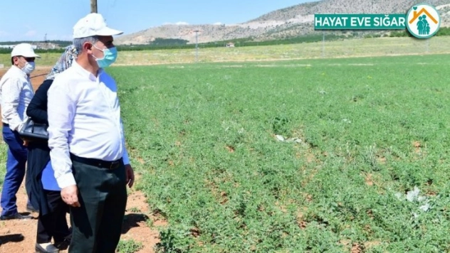 Tarımsal üretim ve Ar-Ge sahası kuruldu