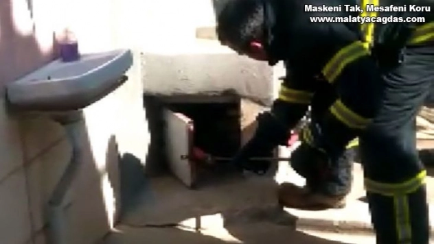 Yılan, kaçacak yer bulamayınca itfaiye erinin üzerine atladı