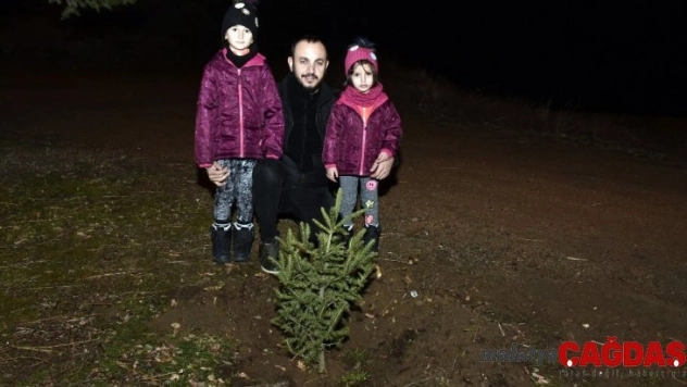 Yılbaşında kesilen ağaçlar için yılın son dakikalarında fidan dikti