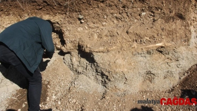 Yol çalışmasında insan iskeleti bulundu