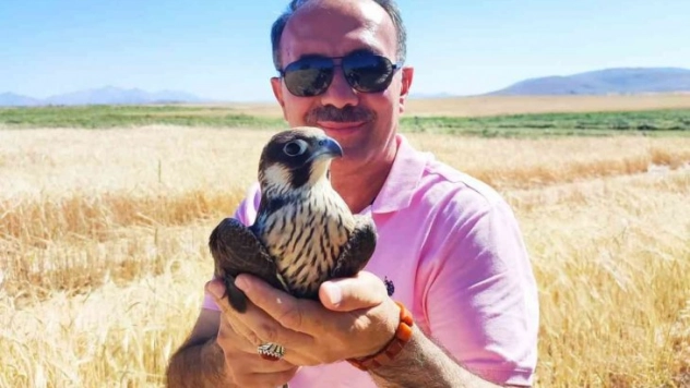 Yol kenarında yaralı buldukları doğana yardım eli uzattılar