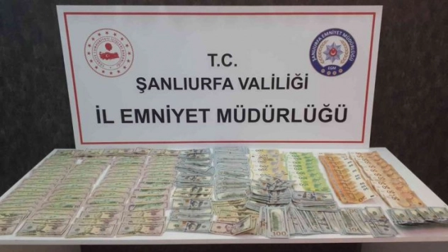 Yüklü miktarda dövizle yakalanan şahısların dolandırıcı olduğu ortaya çıktı