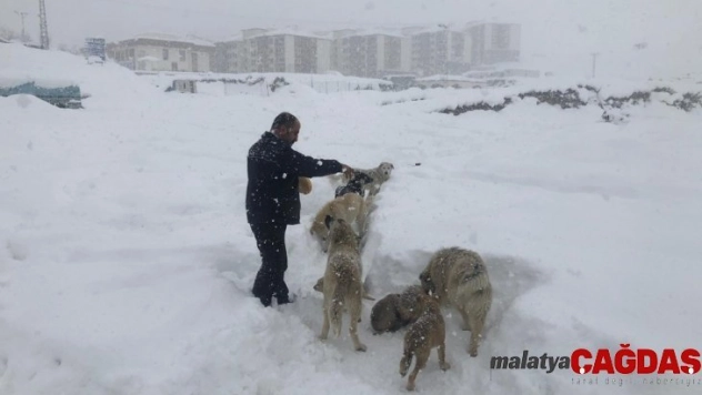 Yüksekovalı duyarlı vatandaştan örnek davranış