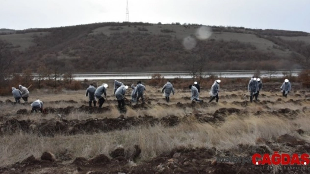 Yükümlüler 600 adet ceviz ve badem fidanını toprakla buluşturdu