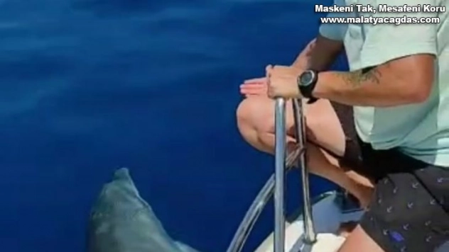 Yunuslar balıkçının 'gel' diye seslenişini karşılıksız bırakmadı