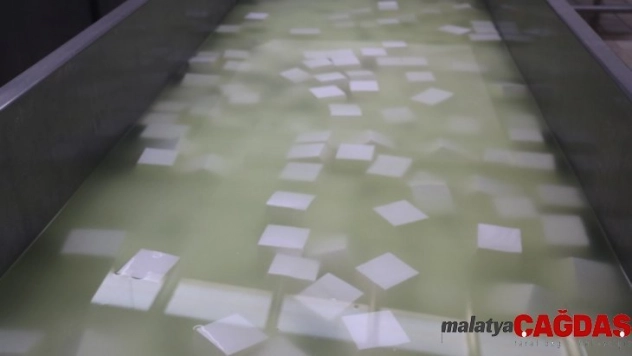 Yurt dışında pişen pizzalara, Sivas'ta üretilen peynir lezzet katıyor