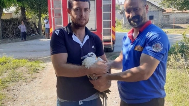 Yuvadan düşen yavru leyleğin yardımına itfaiye koştu