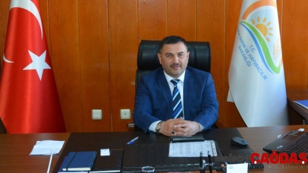 Yüzde 40 Hibeli düve alımı destek başvuruları başladı