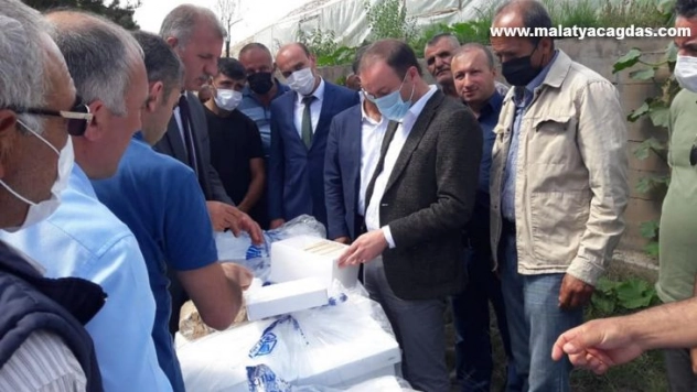 Zara'da arıcılara destek