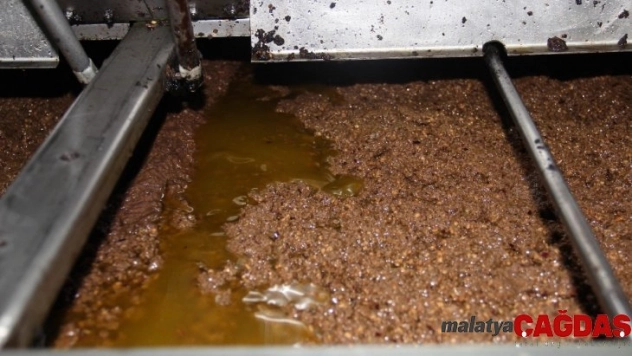 Zeytinyağı kalitesi için 24 saat çalışıyorlar