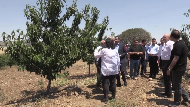 Zirai Don Komisyonu Eskişehir'de: Kiraz Bahçelerinde Büyük Zarar