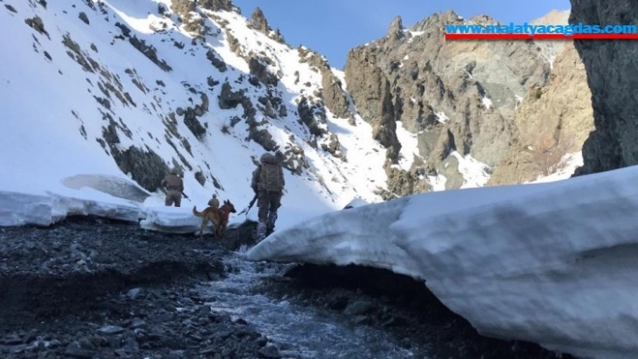 'Kapan-8 Ağrı Dağı-Çemçe-Madur Operasyonu' başlatıldı