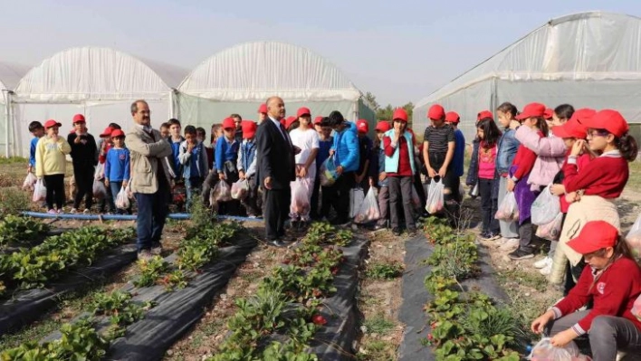 'Öğrenciler tarımı çok sevdi'