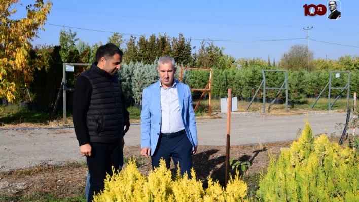 11 Kasım'da Dördüncü Etabında Ağaçlandırma Etkinliği Düzenlecek