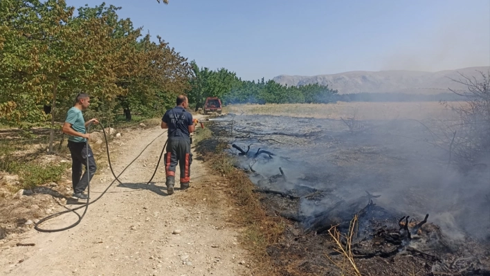 2 ilçesinde çıkan anız ve bahçe yangınları söndürüldü