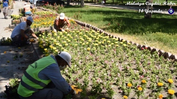 2 milyon 470 bin metrekare yeşil alana bakım