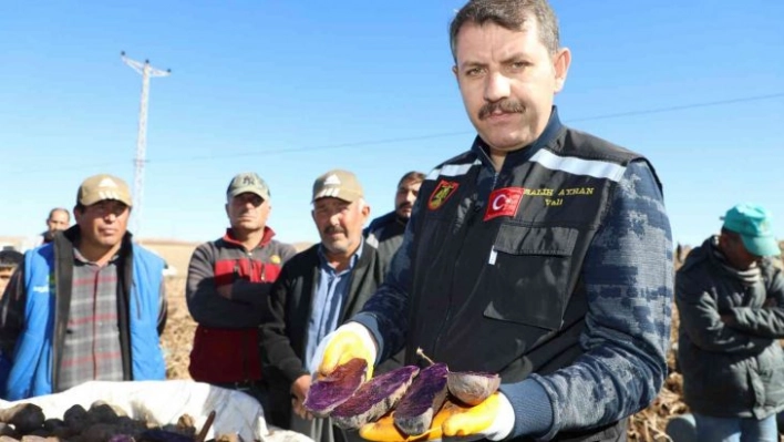 30 dekar tarlada üretildi, tüm Türkiye'nin ihtiyacı karşılanıyor