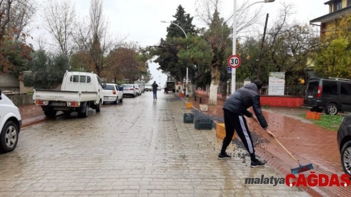 450 kilo zeytin yola saçıldı