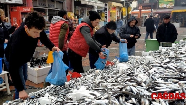 5 liralık hamsi izdihamı, vatandaşlar birbirleriyle yarıştı